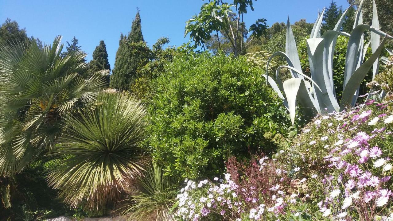 Villa Le Clos Fleuri Narbonne Buitenkant foto