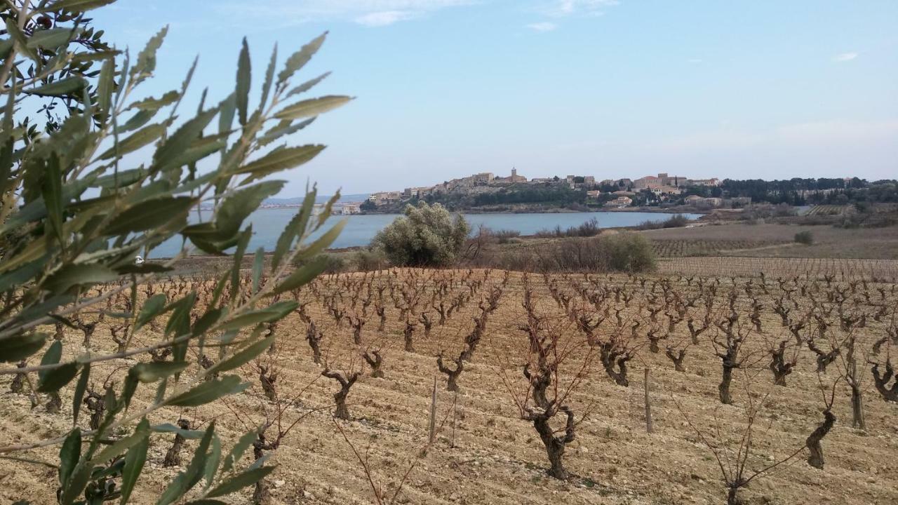 Villa Le Clos Fleuri Narbonne Buitenkant foto